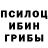 Галлюциногенные грибы Magic Shrooms DanteLoyal