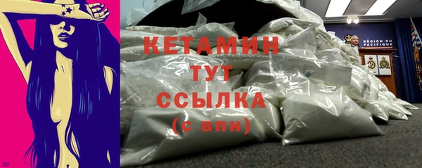мдпв Гусев