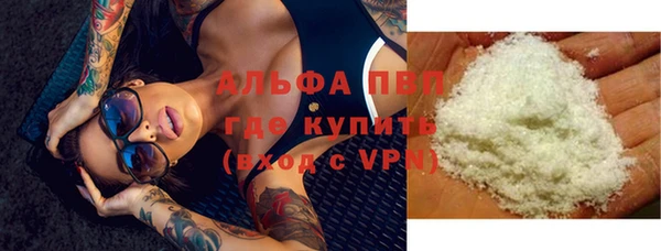 мдпв Гусев