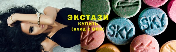 мдпв Гусев