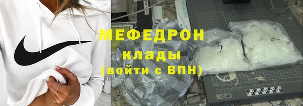 мдпв Гусев