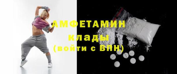 мдпв Гусев