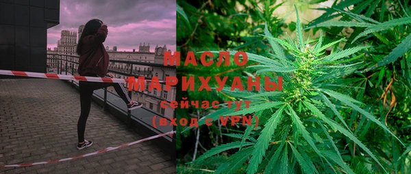 мдпв Гусев
