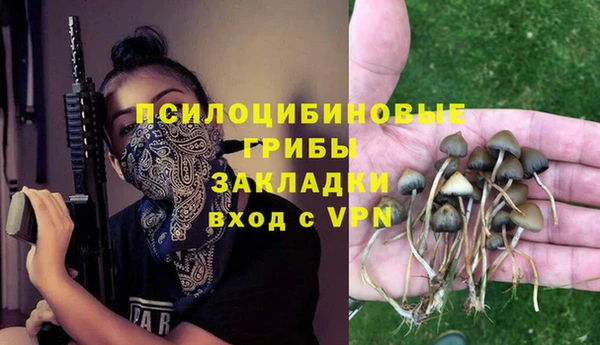 прущие крисы Гусь-Хрустальный