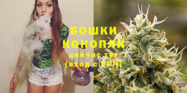 прущие крисы Гусь-Хрустальный