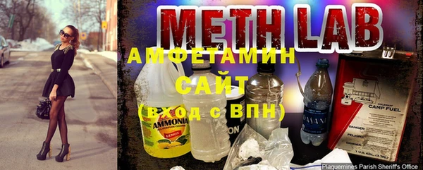 мдпв Гусев