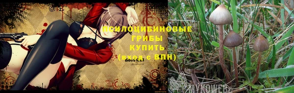 прущие крисы Гусь-Хрустальный