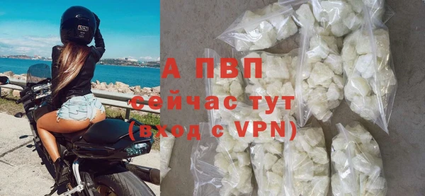 мдпв Гусев
