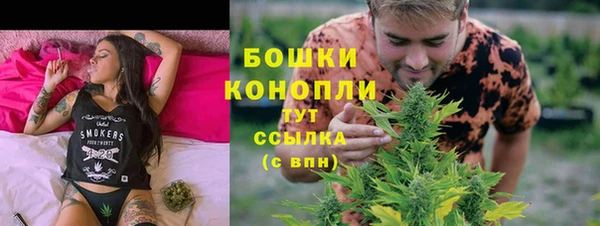мдпв Гусев