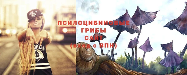 мдпв Гусев